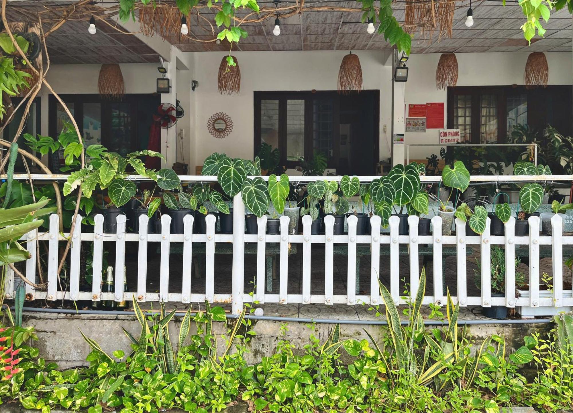 N'T Homestay Mui Ne Exterior photo